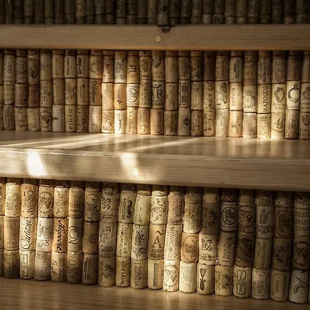 Casa Velha 게스트하우스